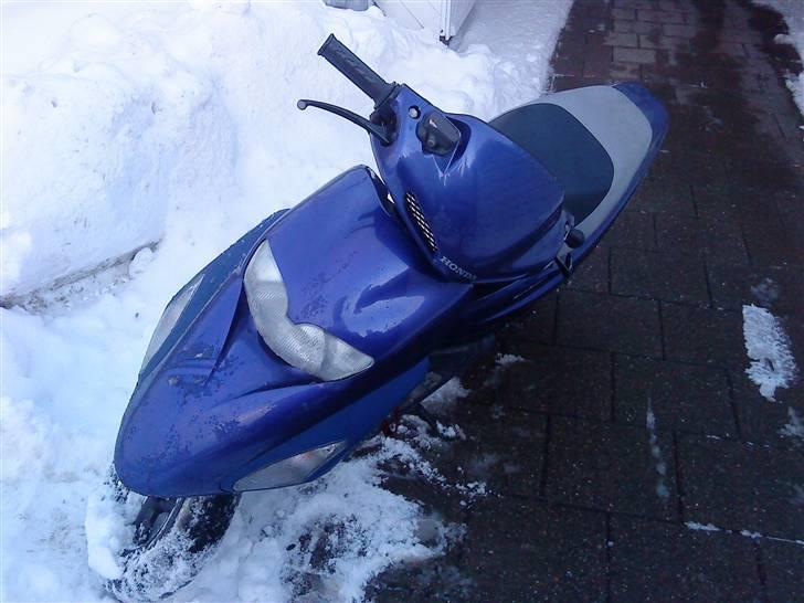 Honda Sfx - #SOLGT# billede 2