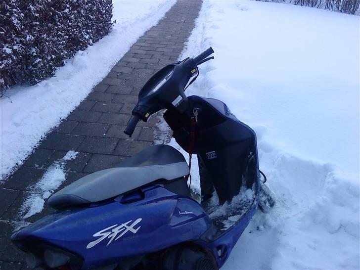 Honda Sfx - #SOLGT# billede 3