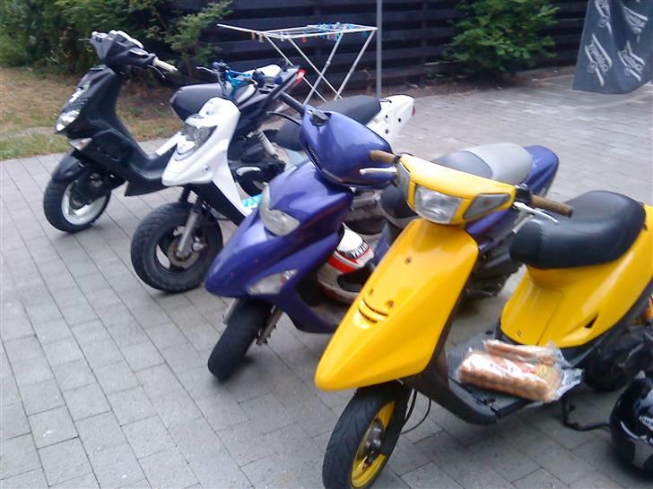 Honda Sfx - #SOLGT# billede 4