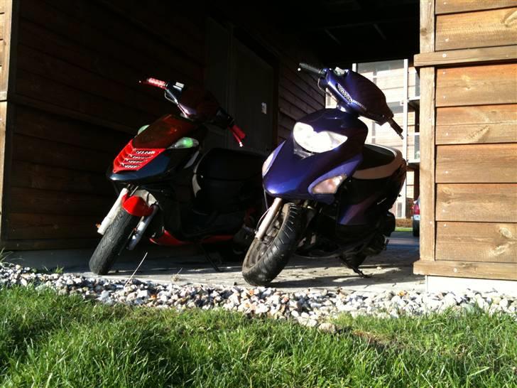 Honda Sfx - #SOLGT# billede 6