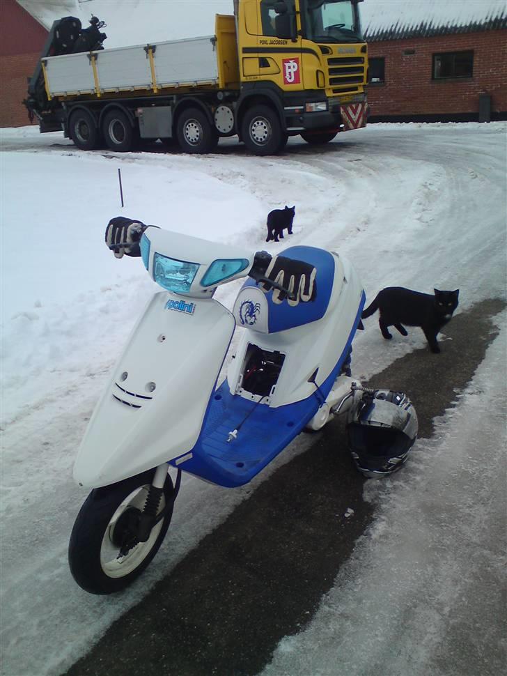 Yamaha Jog Fs Pinasco 14.65hk billede 5