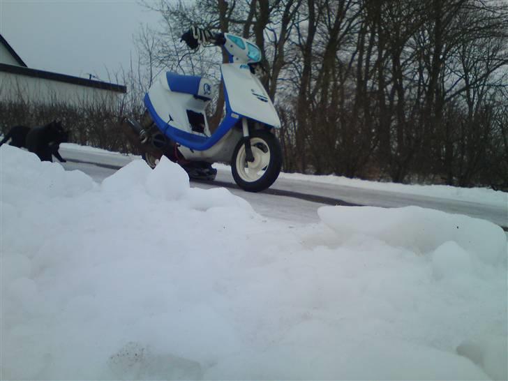 Yamaha Jog Fs Pinasco 14.65hk billede 6