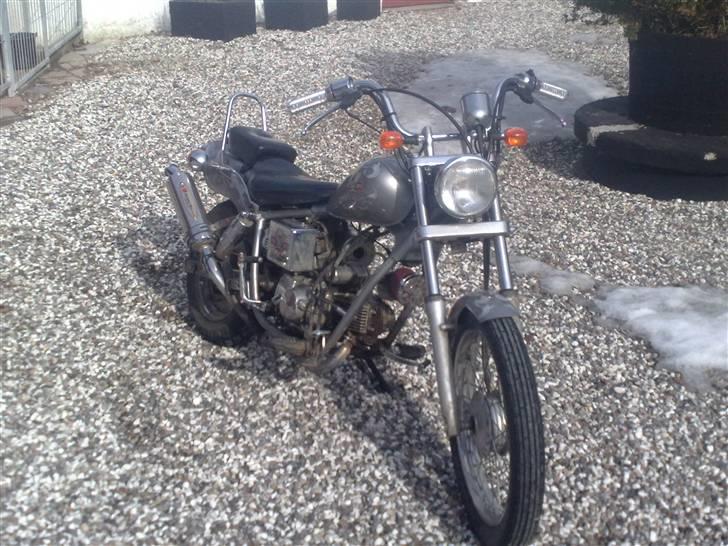 Regal Raptor v8 Solgt billede 6