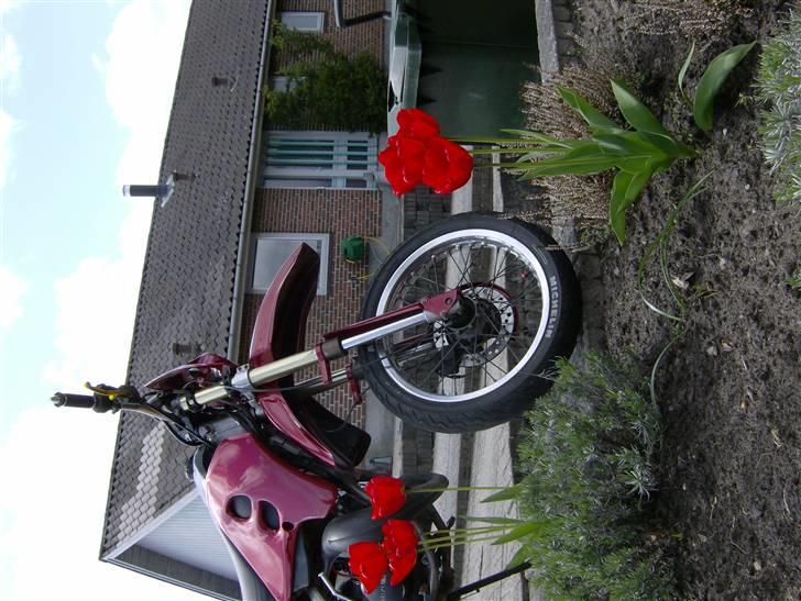 Suzuki smx byttet til jog r :)  - er det ikke en flot farve :D  billede 2