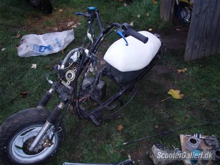 PGO hot 50 solgt billede 2