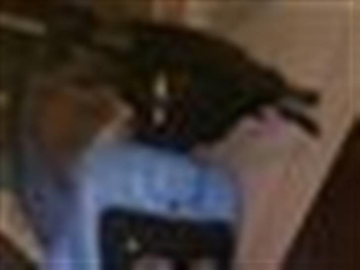 PGO hot50 byttet billede 1