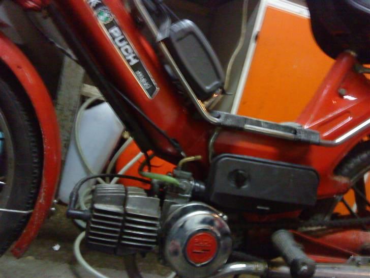 Puch maxi K L billede 9