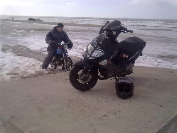 PGO  110 ccm byttet billede 15