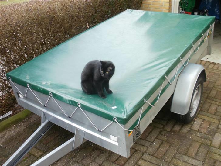 Yamaha Jog. BYTTET TIL NEOS  billede 10