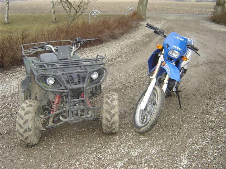 P. Lindberg  gepart *solgt* billede 16