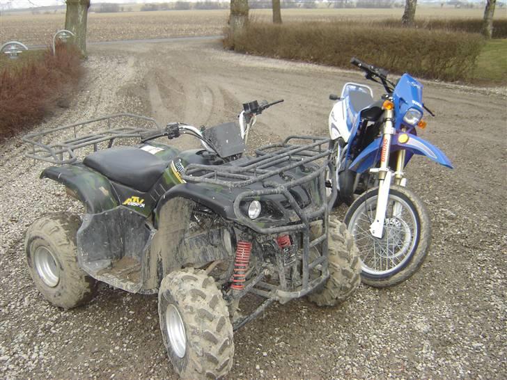 P. Lindberg  gepart *solgt* billede 18