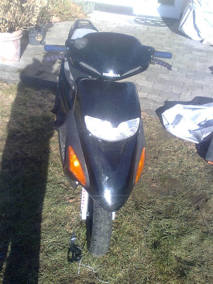 Honda Sfx LC billede 1