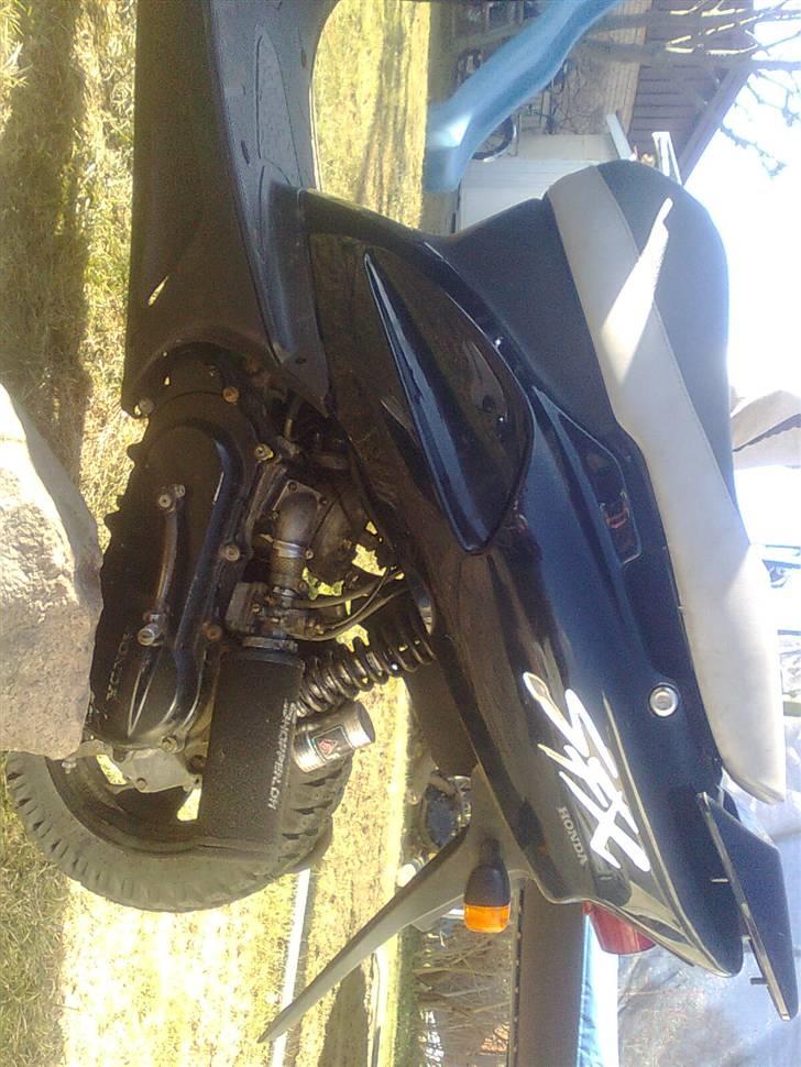 Honda Sfx LC billede 4
