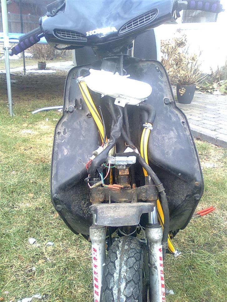 Honda Sfx LC billede 10