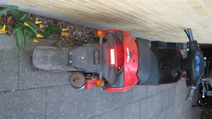 Aprilia Rally (Blue) - FØR billede 2