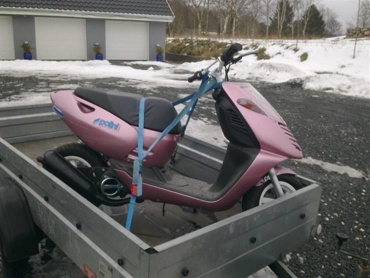 Aprilia sonic er hos politiet billede 1