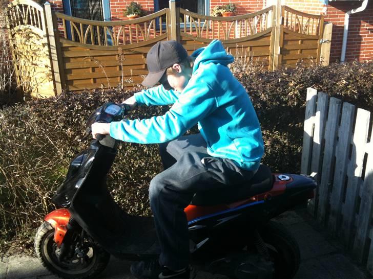 PGO Hot 50 Byttet Til Stalker billede 6