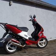 Peugeot speedfightdet