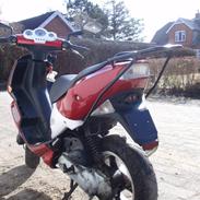 Peugeot speedfightdet