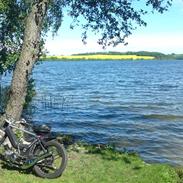 Puch maxi (Sorte Suzi)