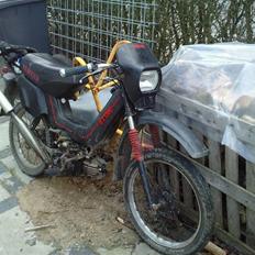 Yamaha Sting