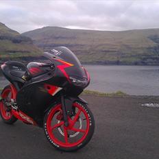 Aprilia RS LC DD 80cc ™