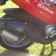 Benelli 491 Racing SOLGT!