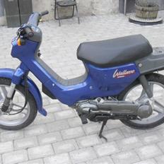 Honda Wallaroo