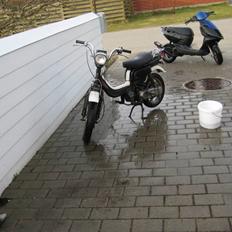 Suzuki FZ 50 (Projekt)