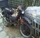 Yamaha Sting