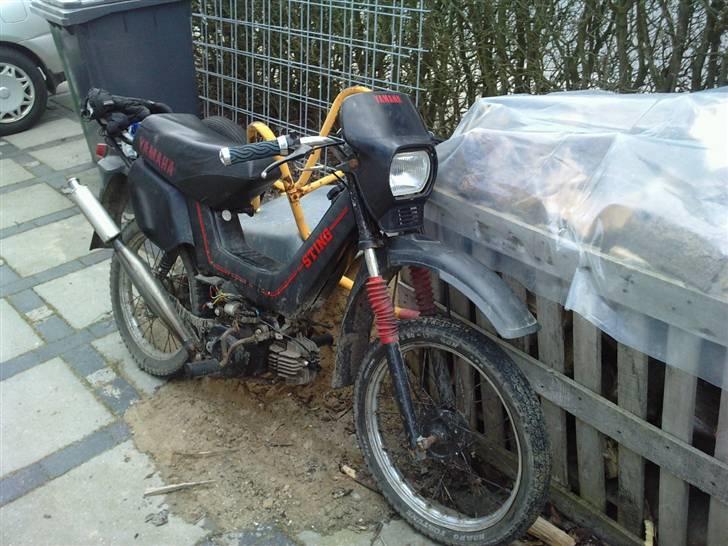 Yamaha Sting billede 1