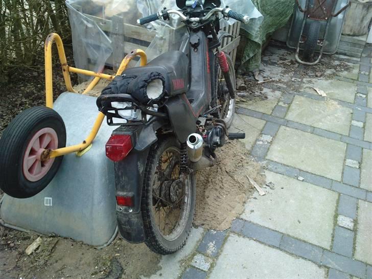 Yamaha Sting billede 2