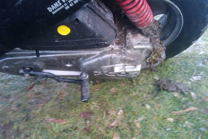 PGO hot 50  billede 3