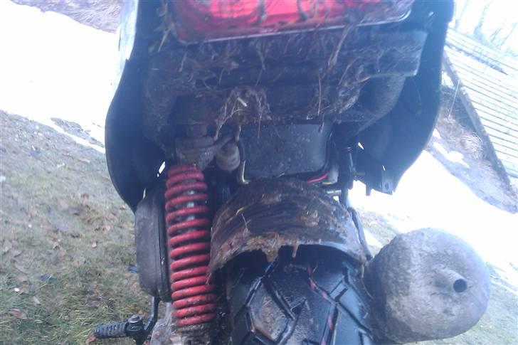 PGO hot 50  billede 4