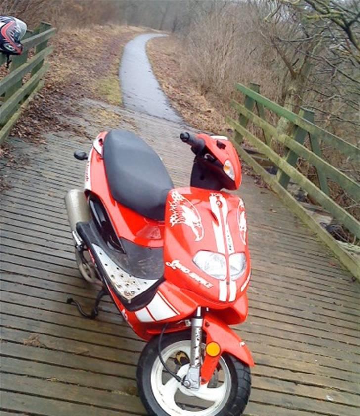 TGB Pegasus Hawk 303r billede 3