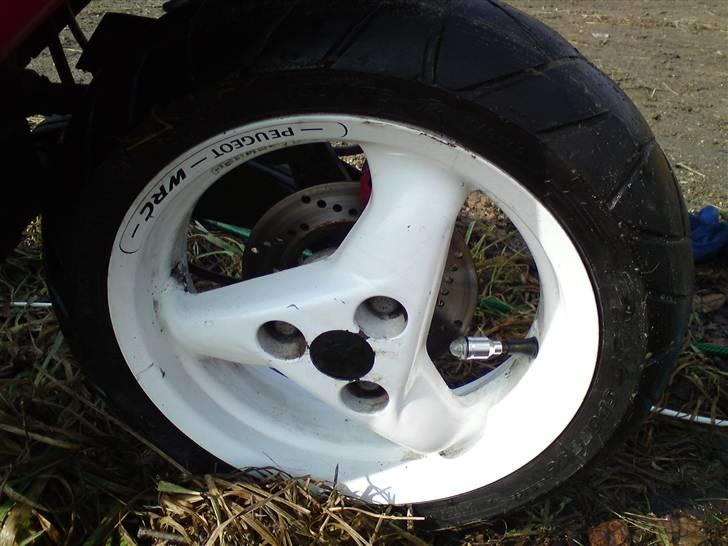 Peugeot Speedfight 2 WRC #SOLGT# billede 4