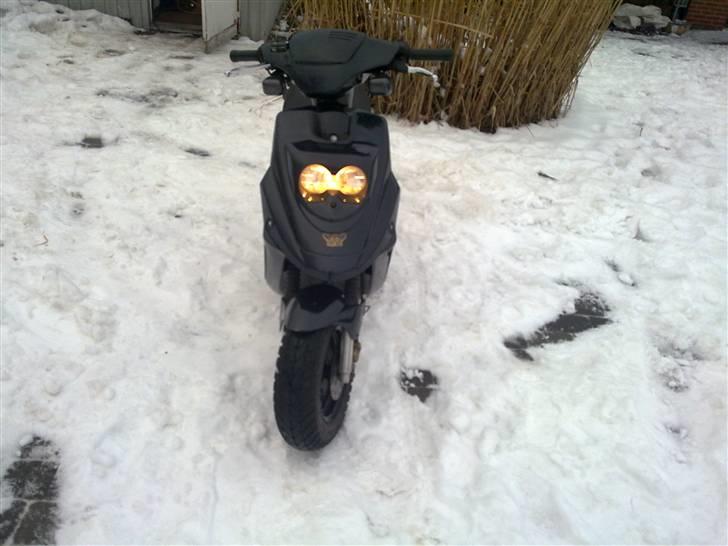 PGO hot50 (SOLGT) billede 18