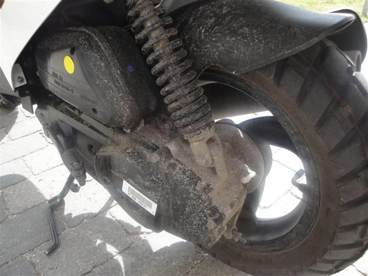 PGO Hot 50 BYTTET billede 4