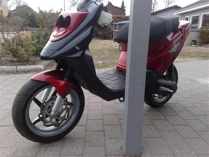 PGO Hot50 Lc dd billede 7