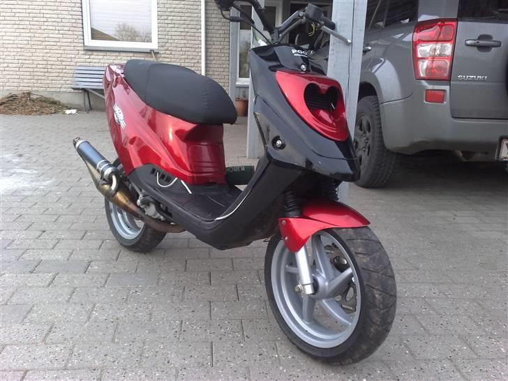 PGO Hot50 Lc dd billede 8