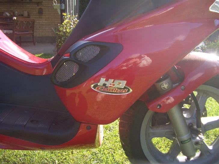 Benelli 491 Racing SOLGT! billede 4