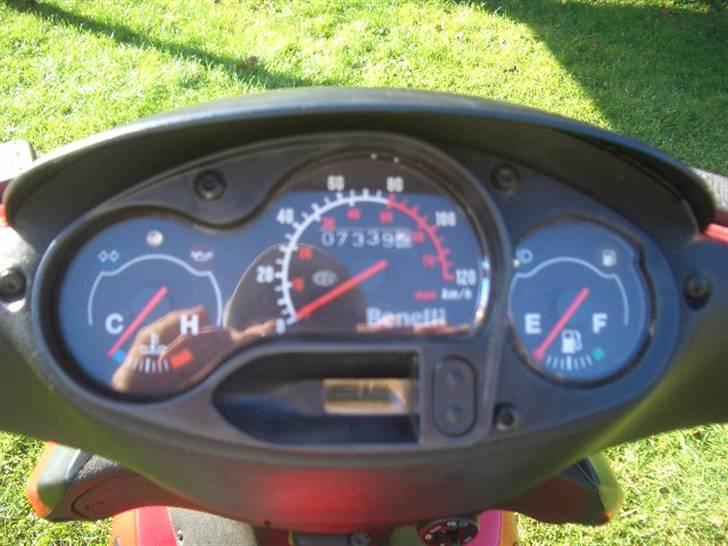 Benelli 491 Racing SOLGT! billede 5