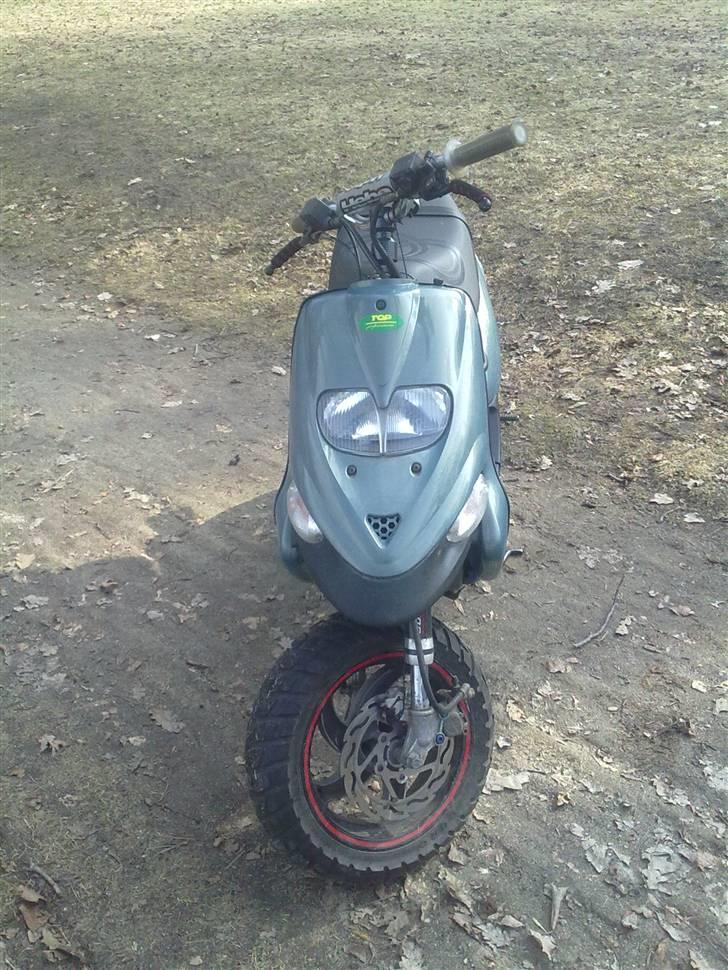 Gilera stalker byttet billede 1