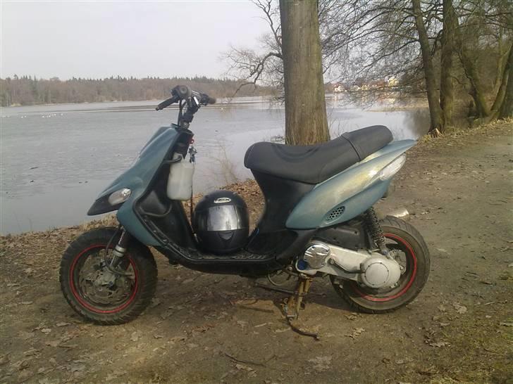 Gilera stalker byttet billede 3