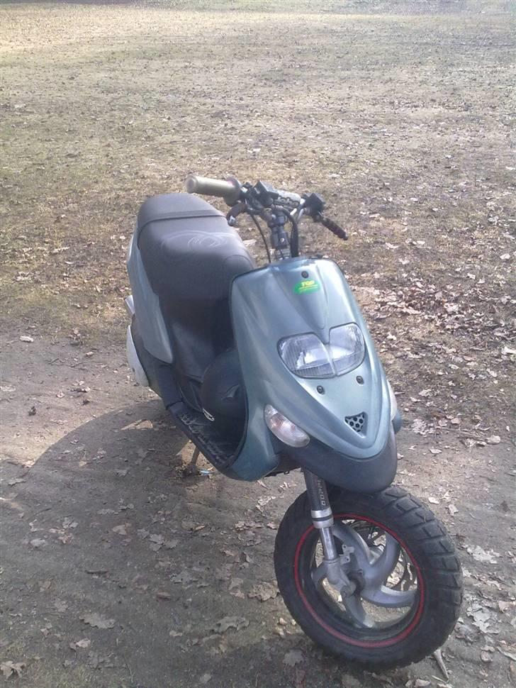 Gilera stalker byttet billede 4