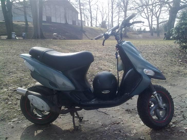 Gilera stalker byttet billede 5
