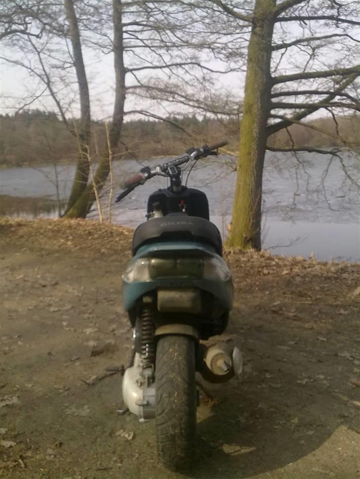 Gilera stalker byttet billede 6