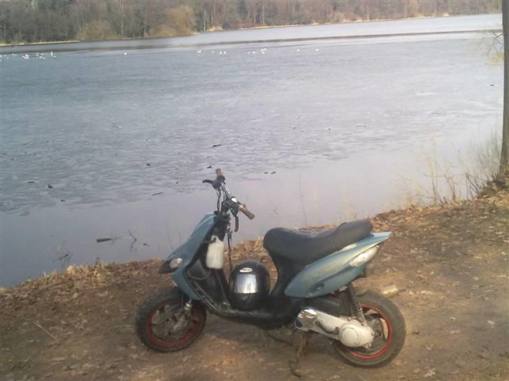 Gilera stalker byttet billede 9