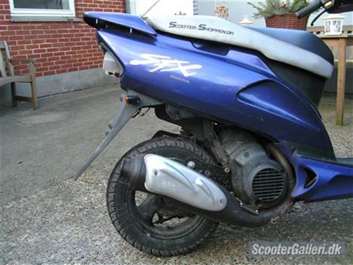 Honda SFX billede 2