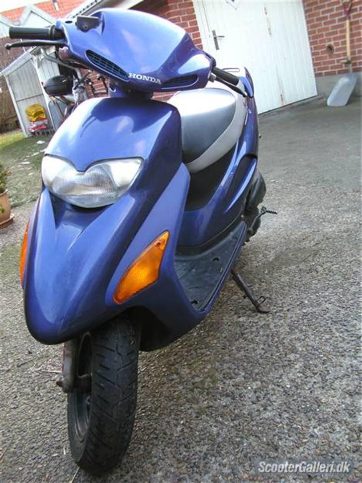 Honda SFX billede 4